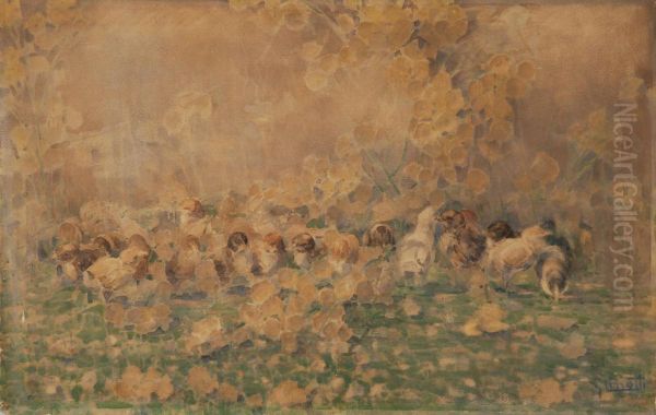 Pulcini - view 1