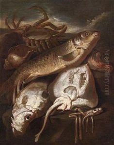 A Still Life Of Fish by Giacomo Francesco Cipper
