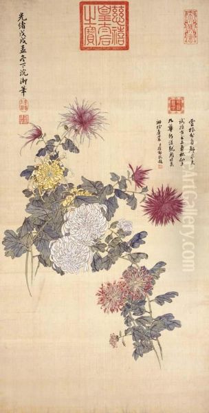 Chrysanthemum - view 1