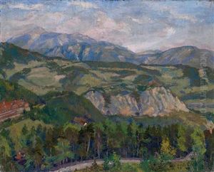 Sommerlandschaft Im Hintergrund Der Schneeberg