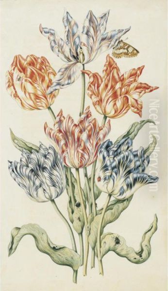 Study Of Six Tulips, A Butterfly And Other Insects - view 1