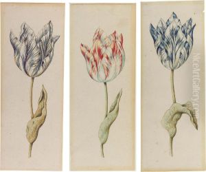A Red Parrot Tulip; A Blue Parrot Tulip; And A Dark Blue Parrot Tulip by Anthony I Claesz
