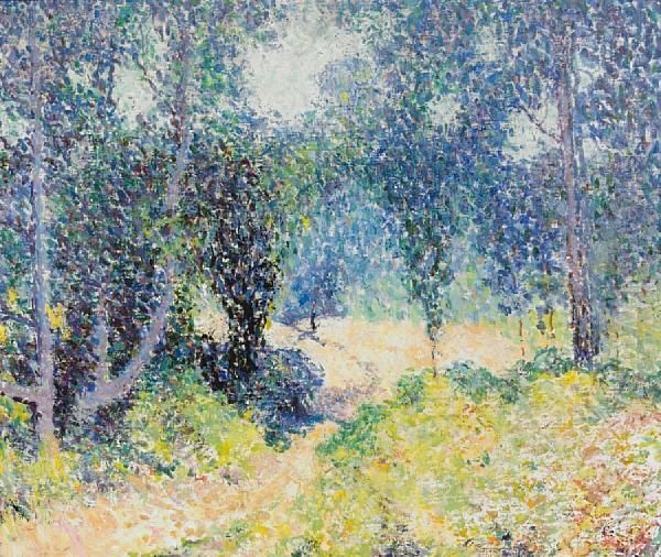 Path Through The Woods - view 1