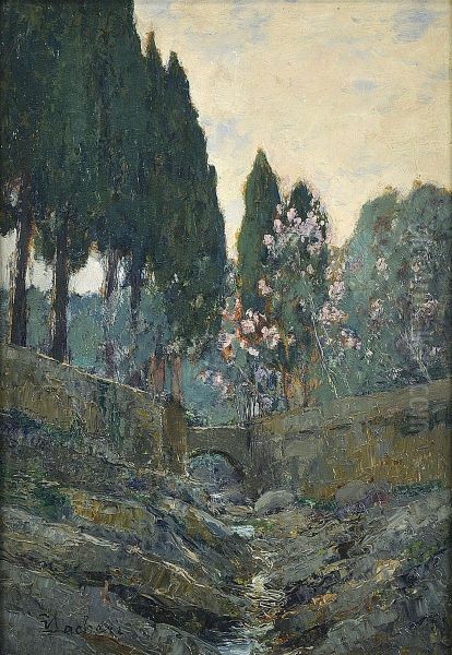 Fiume Tra Gli Alberi - view 1
