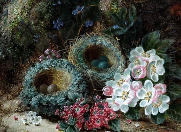 Still Life Of Birds Nest With Eggs And Flowers On A Mossy Bank - view 1