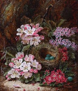 Bird's Nest With Blossom And Spring Flowers by Oliver Clare