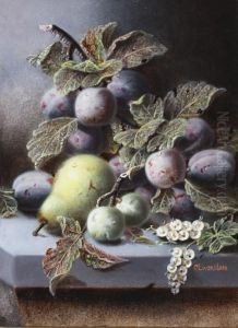 Plums, Greengages, White Currants And A Pear On A Stone Ledge