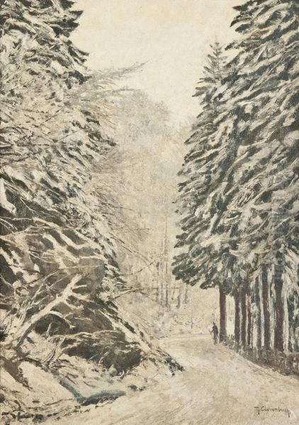 Spazierganger Im Winterlichen Wald - view 1