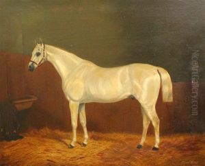 White Horse In A Stable