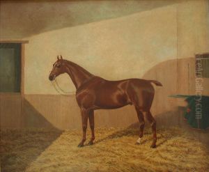A Light Bay In A Stable A Light Bay In A Stable