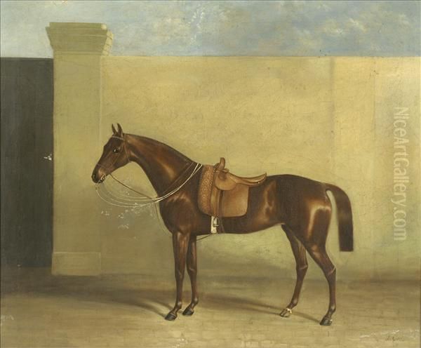 Saddled Hunter In A Stable Yard - view 1