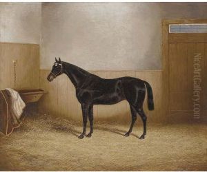 A Dark Brown Horse In A Stable