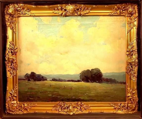Landscape With Predominant Sky With Cumulus Clouds - view 1