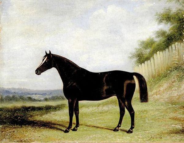 Portrait Of Racehorse - view 1
