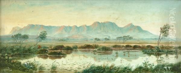 View Of Tablemountain - view 1