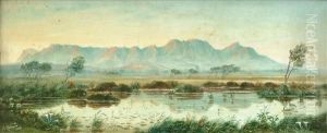 View Of Tablemountain