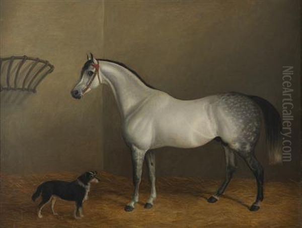 Portrait Of A Dapple Grey Hunter In A Stable Interior - view 1