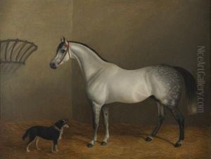 Portrait Of A Dapple Grey Hunter In A Stable Interior Portrait Of A Dapple Grey Hunter In A Stable Interior