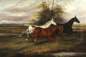 At Full Gallop by James Senior Clark