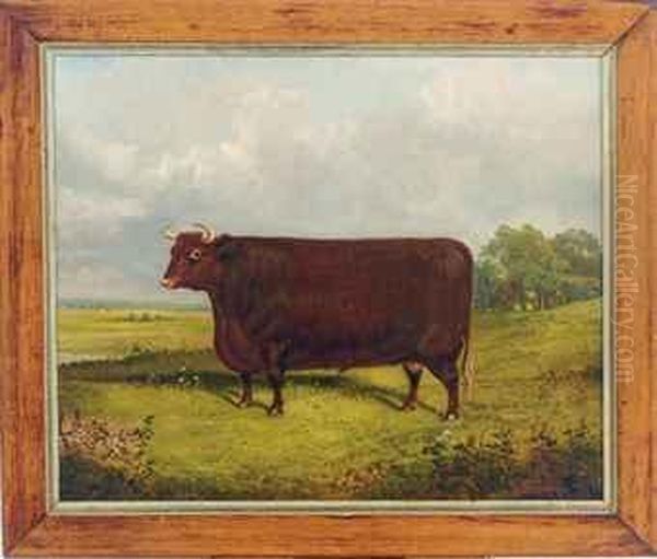 A Bull In A Landscape - view 1