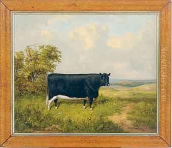 A Black And White Cow In A Landscape - view 1