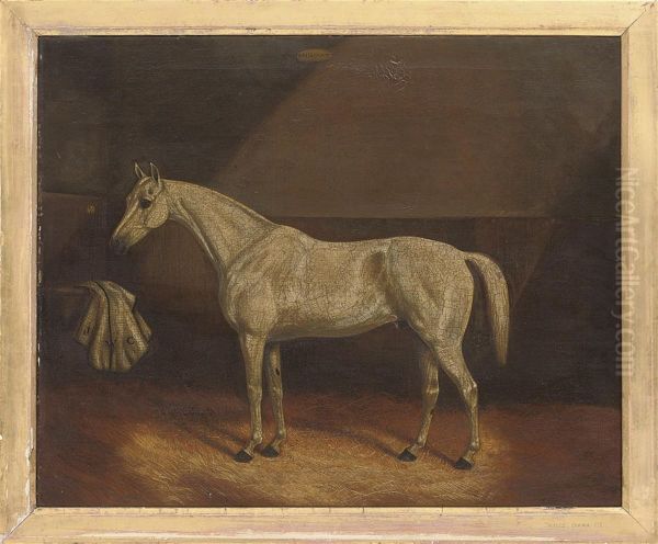 A Grey Race Horse In A Stable - view 1
