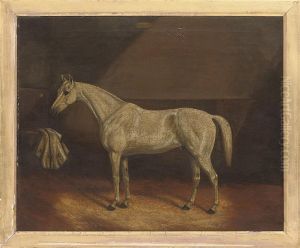 A Grey Race Horse In A Stable by James Senior Clark