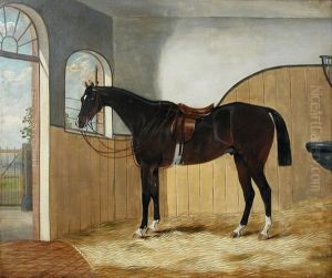 A Dark Bay Hunter In A Stable by James Senior Clark