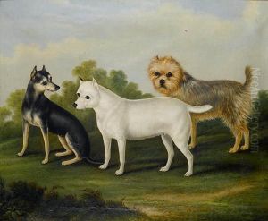 Three Terriers by John Clark