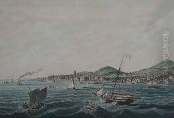 The Town Of Dundee - view 1
