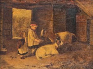 Feeding The Pets
