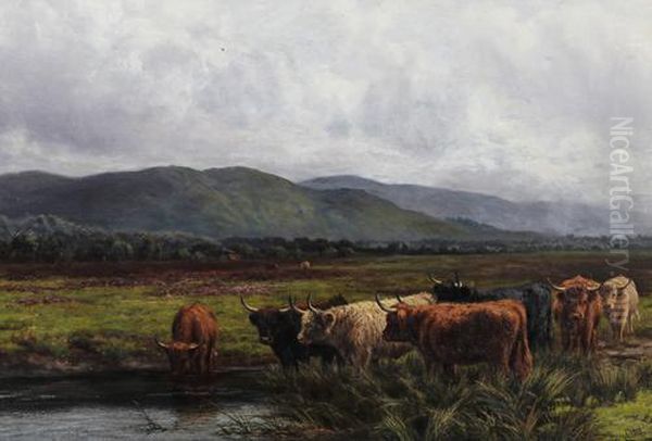 Highland Cattle Watering In A Landscape - view 1
