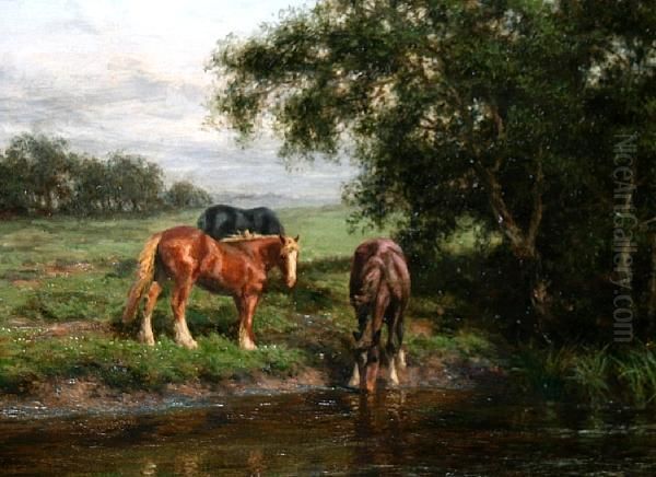 Horses Watering At A Riverside - view 1