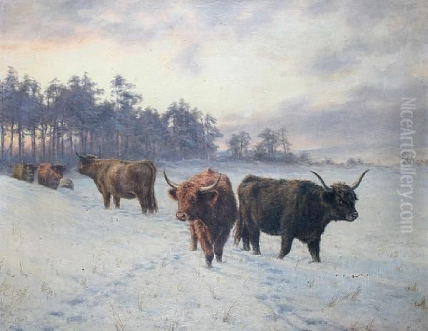 Highland Cattle In A Snowy Landscape - view 1