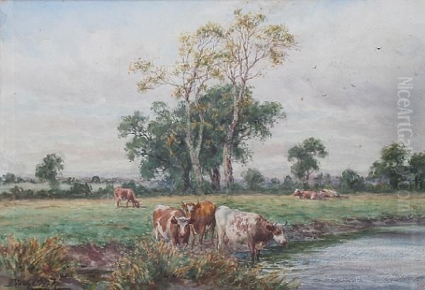 Near Warkworth - view 1