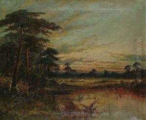 Evening Near Reading
