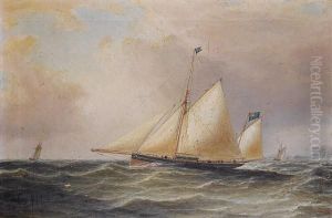 The Celebrated Racing Yawl by William Clark Of Greenock