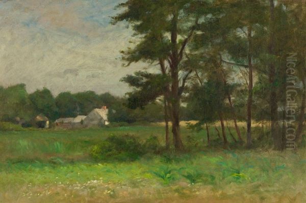 Overgrown Fields - view 1