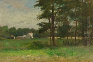 Overgrown Fields