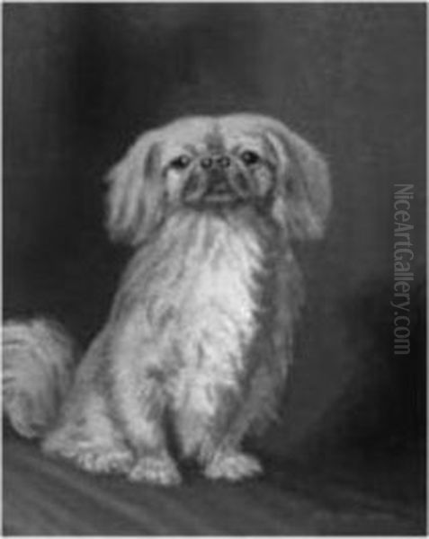 The Pooch - view 1