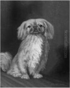 The Pooch The Pooch