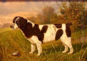 Spaniel Dog With Woodcock In Landscape