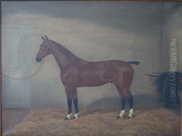 "swank" - The Property Of C. Perry - view 1