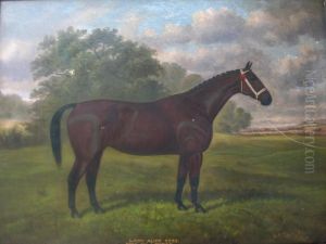 Lady Alice 2539, Bred By J. Ryder by William Clark Of Greenock