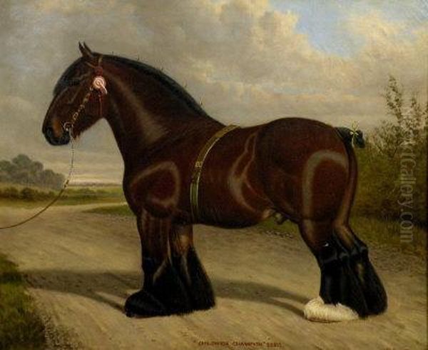 'a Portrait Of The Shire Horse 'childwick Champion' 22215' - view 1