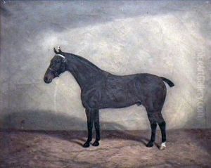 Portrait Of Abay Horse In A Stable by William Clark Of Greenock