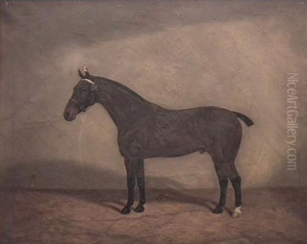 Portrait Of A
Bay Horse In A Stable - view 1