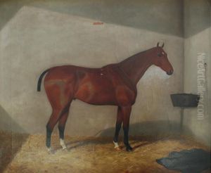 Sailor, A Bay In A Stable