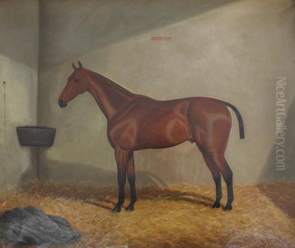 Welshman, A Bay In A Stable - view 1