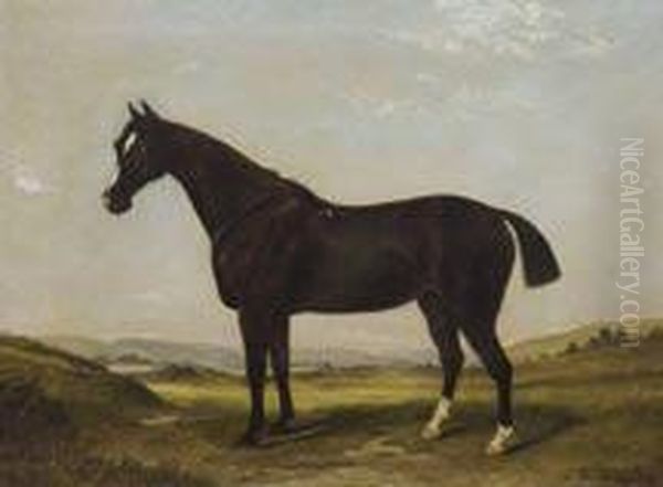 Horse In Landscape - view 1